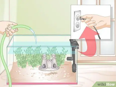Установите Betta Tank Шаг 10 Установите Betta Tank Шаг 10