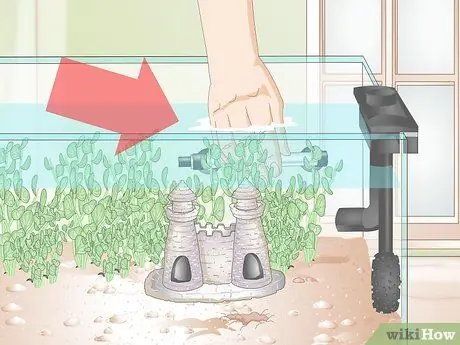 Установите Betta Tank Шаг 11 Установите Betta Tank Шаг 11