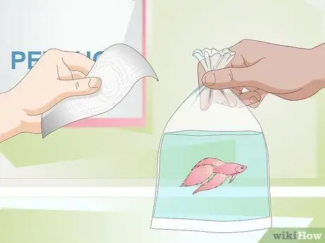 Установите Betta Tank Шаг 14 Установите Betta Tank Шаг 14