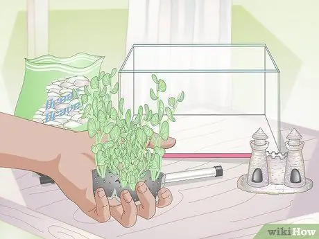 Установите Betta Tank Шаг 5 Установите Betta Tank Шаг 5
