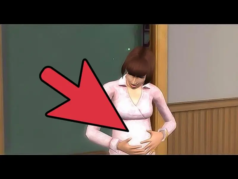 Как завести близнецов в The Sims 2: 11 шагов