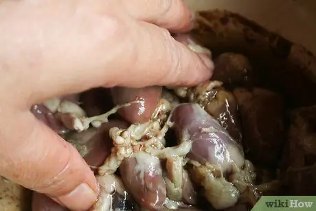Приготовить куриное сердце, шаг 2 Приготовить куриное сердце, шаг 2