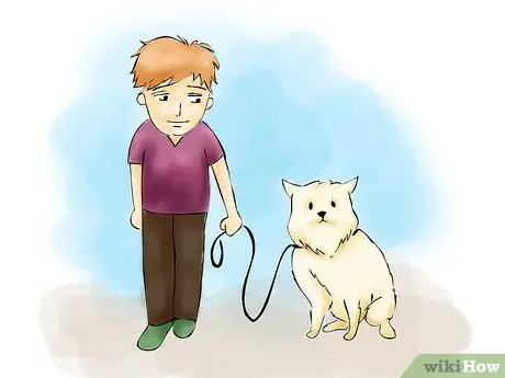 Сжечь жир и нарастить мышцы Шаг 10