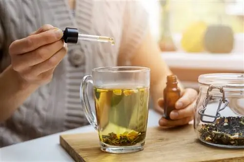Масло CBD: как его использовать и в каких случаях?