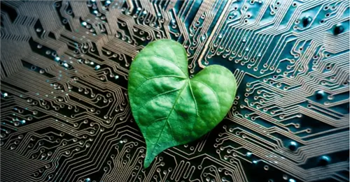 Как пользоваться Интернетом экологически ответственным способом
