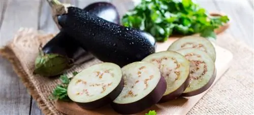 Баклажан: 9 преимуществ, как употреблять и рецепты