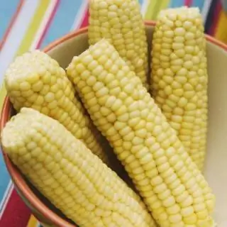 кукуруза кукуруза