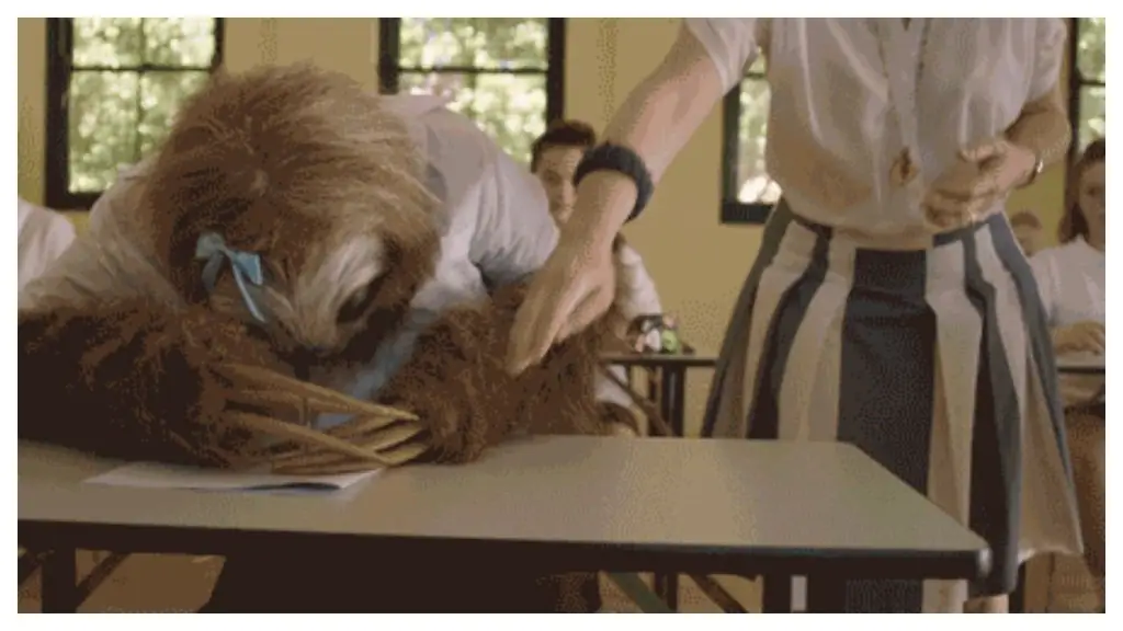 Вот сколько стоила кампания Stoner Sloth налогоплательщикам Нового Южного Уэльса
