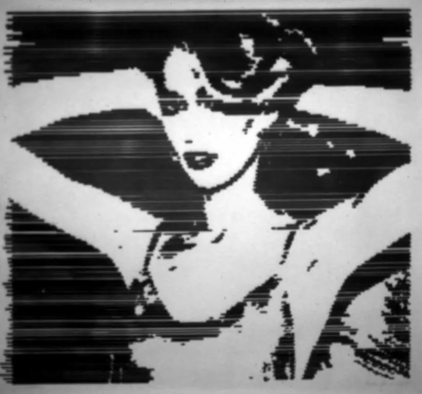 Джерри Холл, 1979, тушь на бумаге, 3X4 фута
