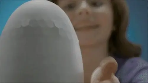 Hatchimals-внутри Hatchimals-внутри
