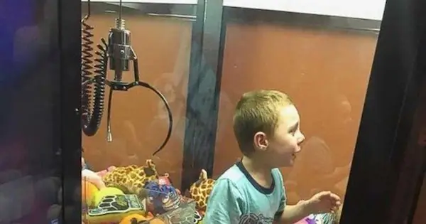 Мальчик забрался внутрь когтеточки и ушел с игрушками