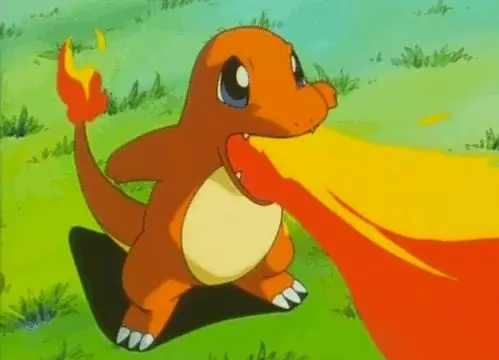 gif1 gif1