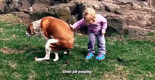 какашка3 какашка3