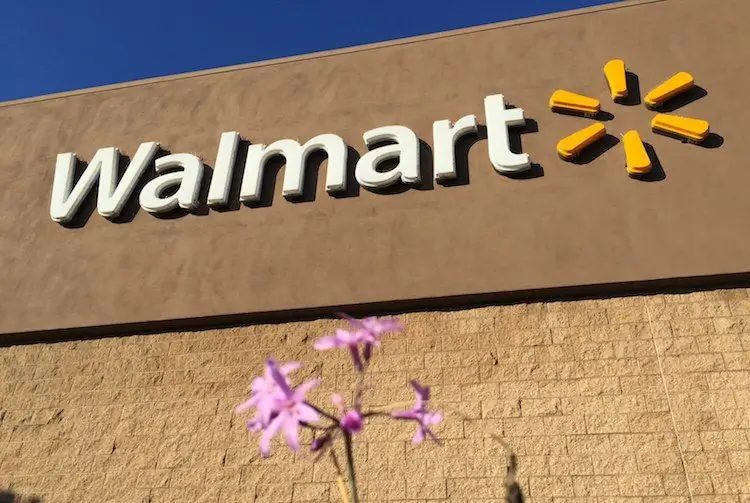 Женщина пытается заставить двух детей помочь ей ограбить Walmart