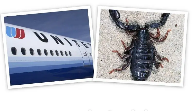 United Airlines завершает худшую неделю со Scorpions, нащупывая обвинения