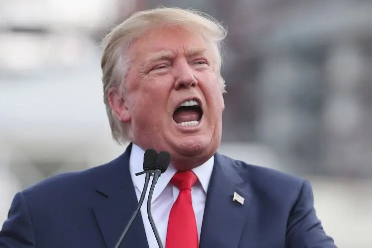 Студентка создала серию фотографий NSFW, написав цитаты Дональда Трампа о женщинах на телах женщин