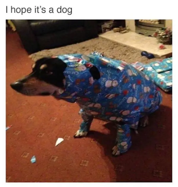 смешно2 смешно2