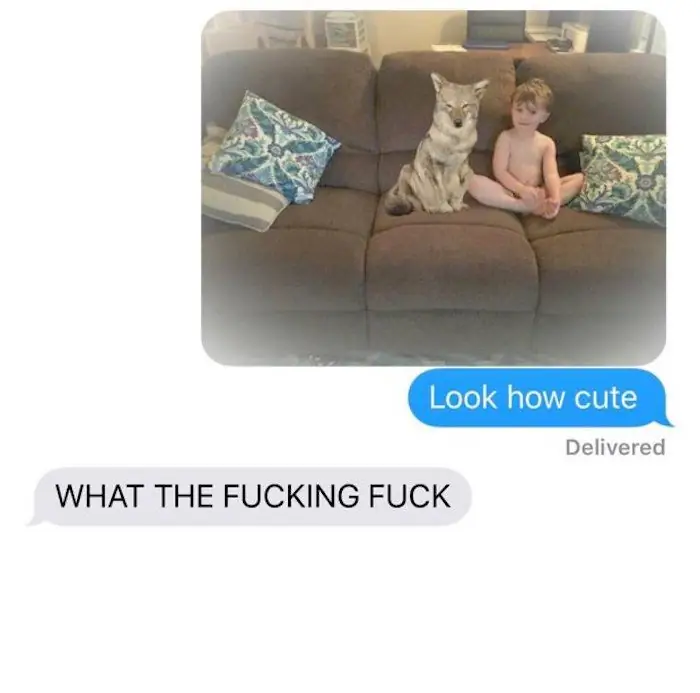 6 6