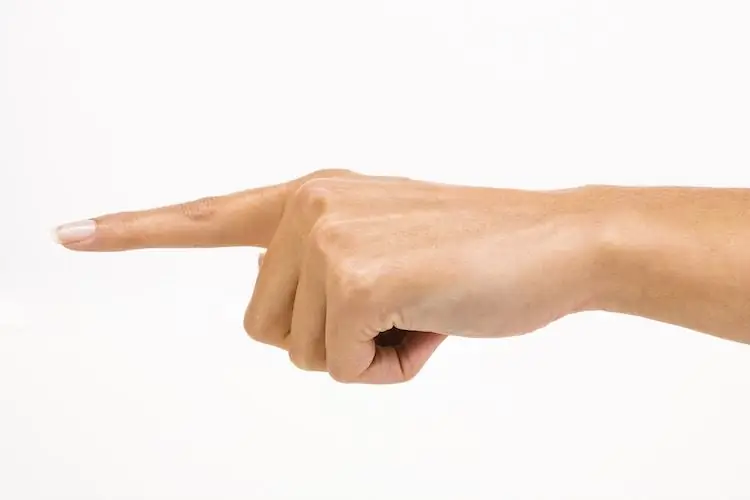 «Naked One Finger Challenge» - еще один вызов, доказывающий, насколько мы продвинулись вперед