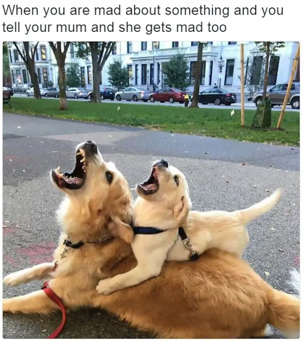 смешной9 смешной9