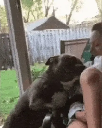 Щенячья любовь Щенячья любовь
