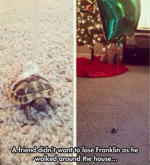 8_funny_photos_9_20_17 8_funny_photos_9_20_17