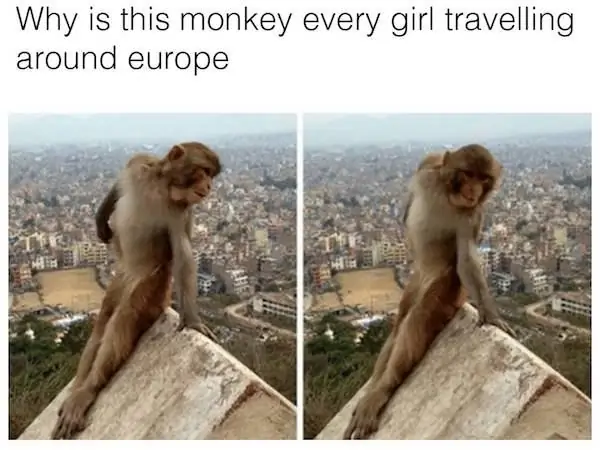 4_funny_photos_8_10_17 4_funny_photos_8_10_17