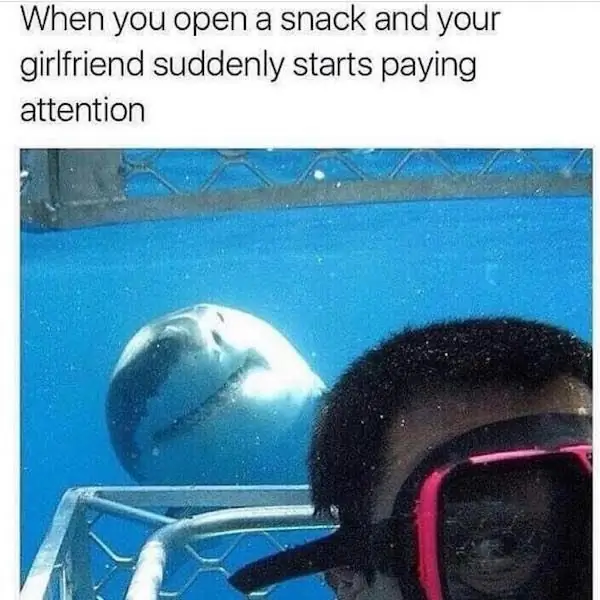 4_funny_photos_7_18_17 4_funny_photos_7_18_17