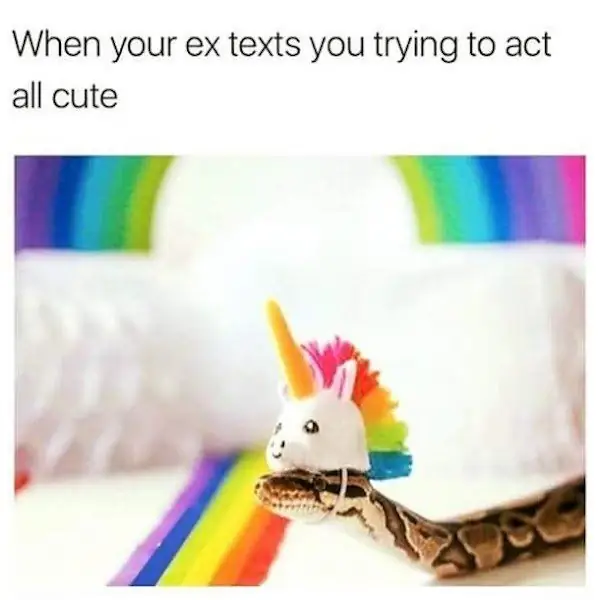 4_funny_photos_7_13_17 4_funny_photos_7_13_17