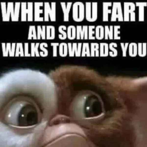 6_funny_photos_7_13_17 6_funny_photos_7_13_17