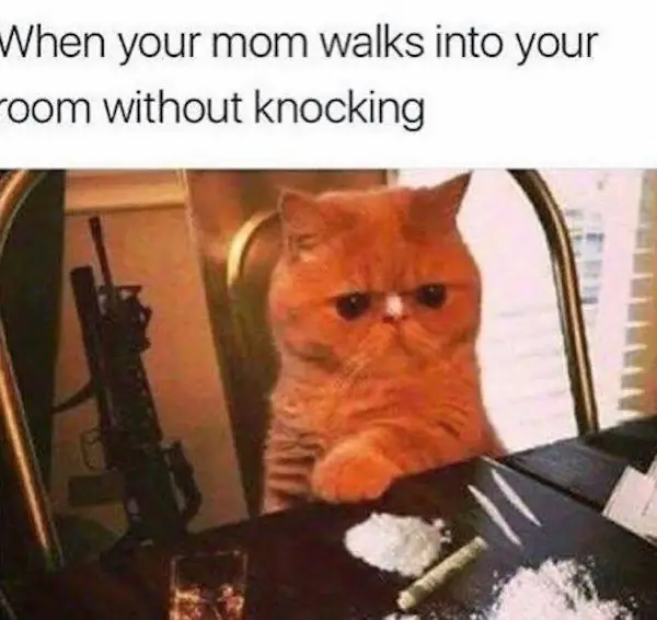 7_funny_photos_6_14_17 7_funny_photos_6_14_17