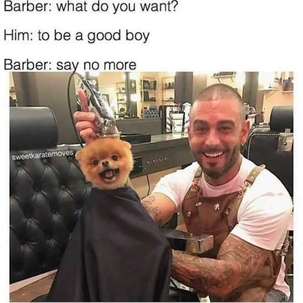4_funny_photos_1_30_17 4_funny_photos_1_30_17