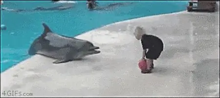 мячфин мячфин