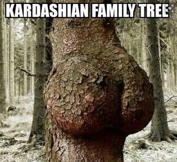 5_funny_photos_11_22_16