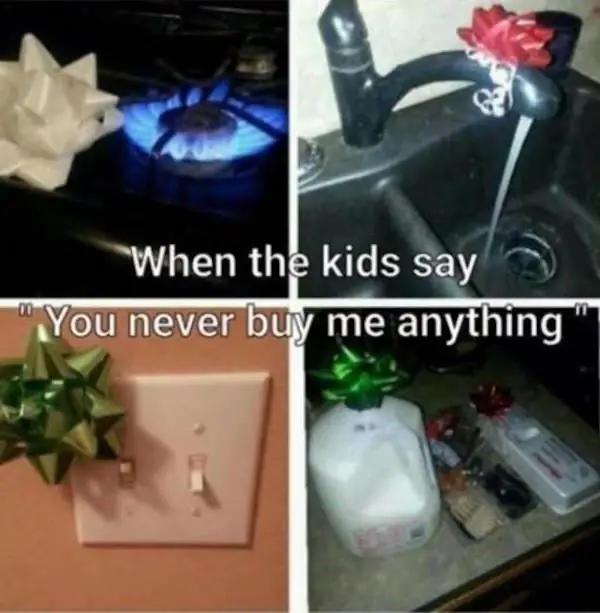 2_funny_photos_11_16_16 2_funny_photos_11_16_16