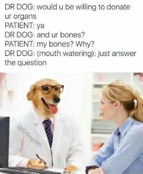 3_funny_photos_11_16_16 3_funny_photos_11_16_16