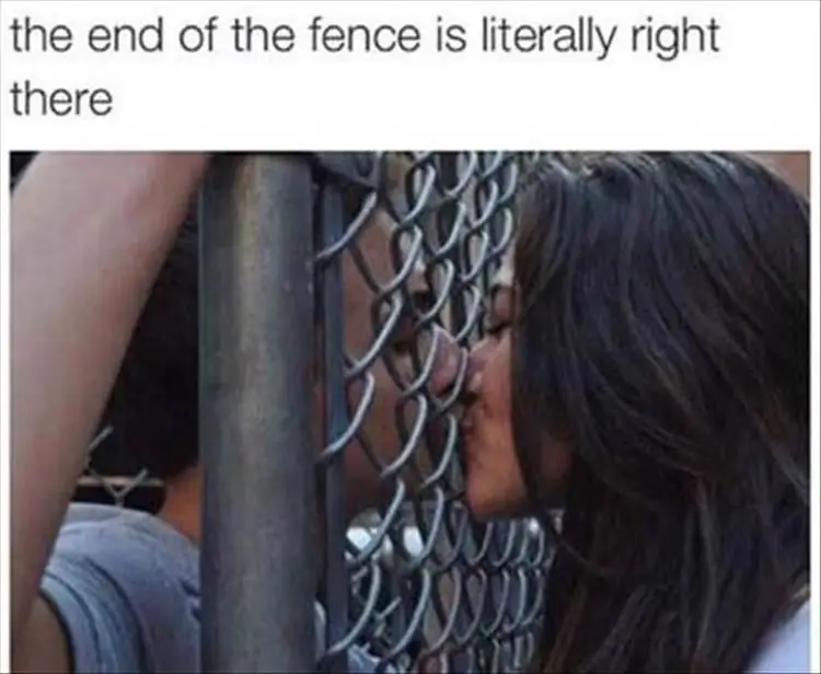 4_funny_photos_11_4_16 4_funny_photos_11_4_16