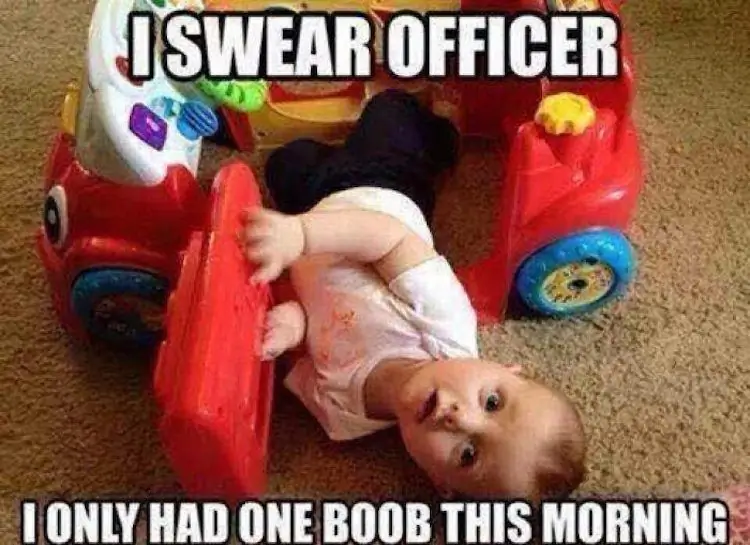 3_funny_photos_11_2_16