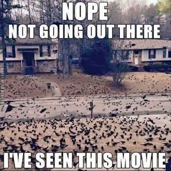 3_funny_photos_10_31_16