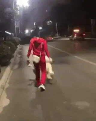 Выгуливать собаку Выгуливать собаку