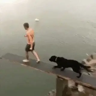 Собачье погружение после обеда