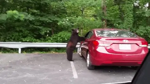 Где Бу-Бу?