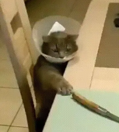 Нож Зная Я Нож Зная Я