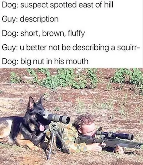4_funny_photos_10_19_16 4_funny_photos_10_19_16