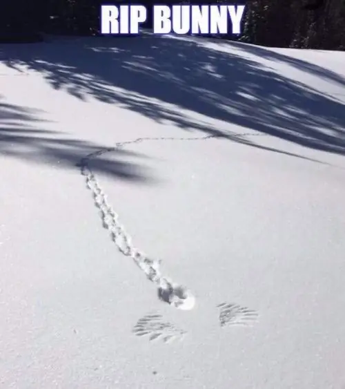 8_funny_photos_10_19_16 8_funny_photos_10_19_16