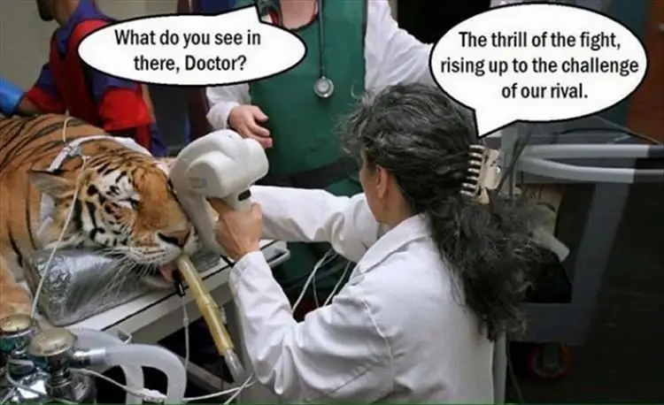 4_funny_photos_10_18_16