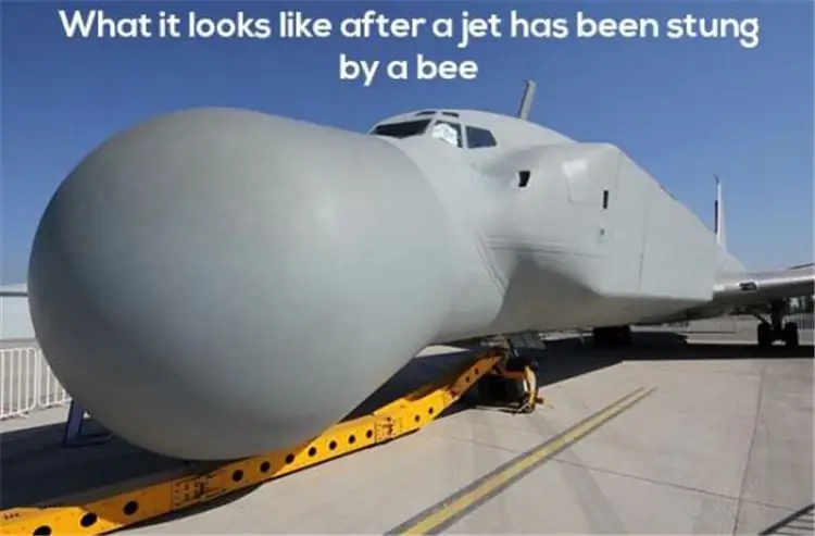 8_funny_photos_10_18_16
