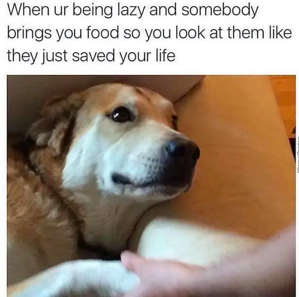 2_funny_photos_10_10_16