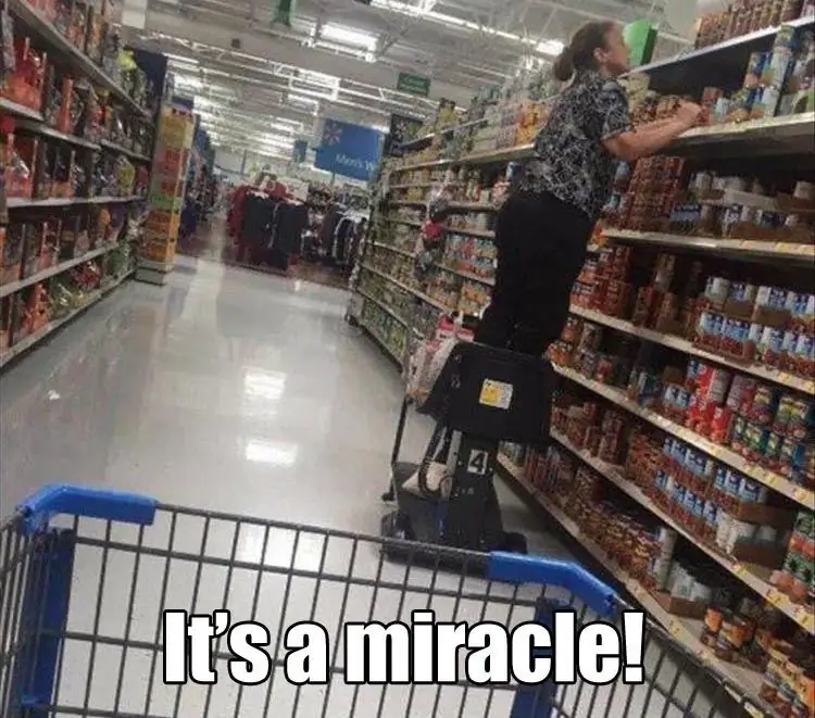 7_funny_photos_10_10_16