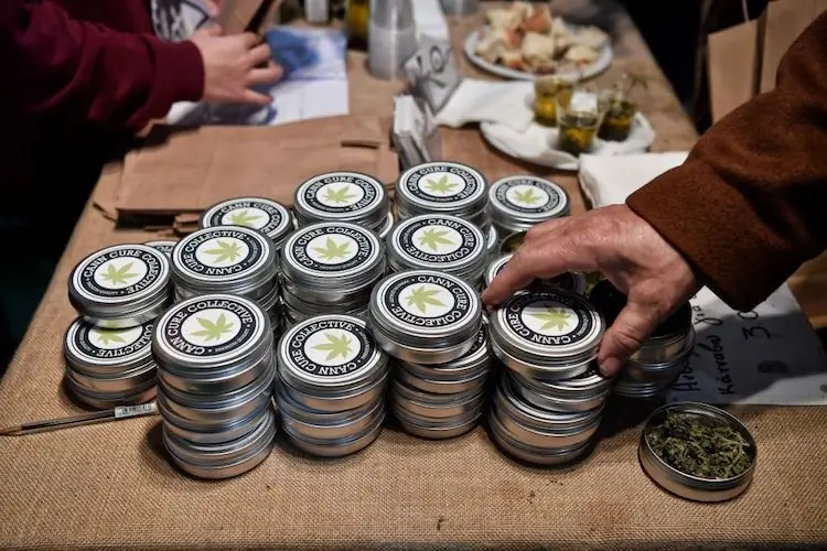 Продукты с коноплей вернут вас в светскую жизнь снова